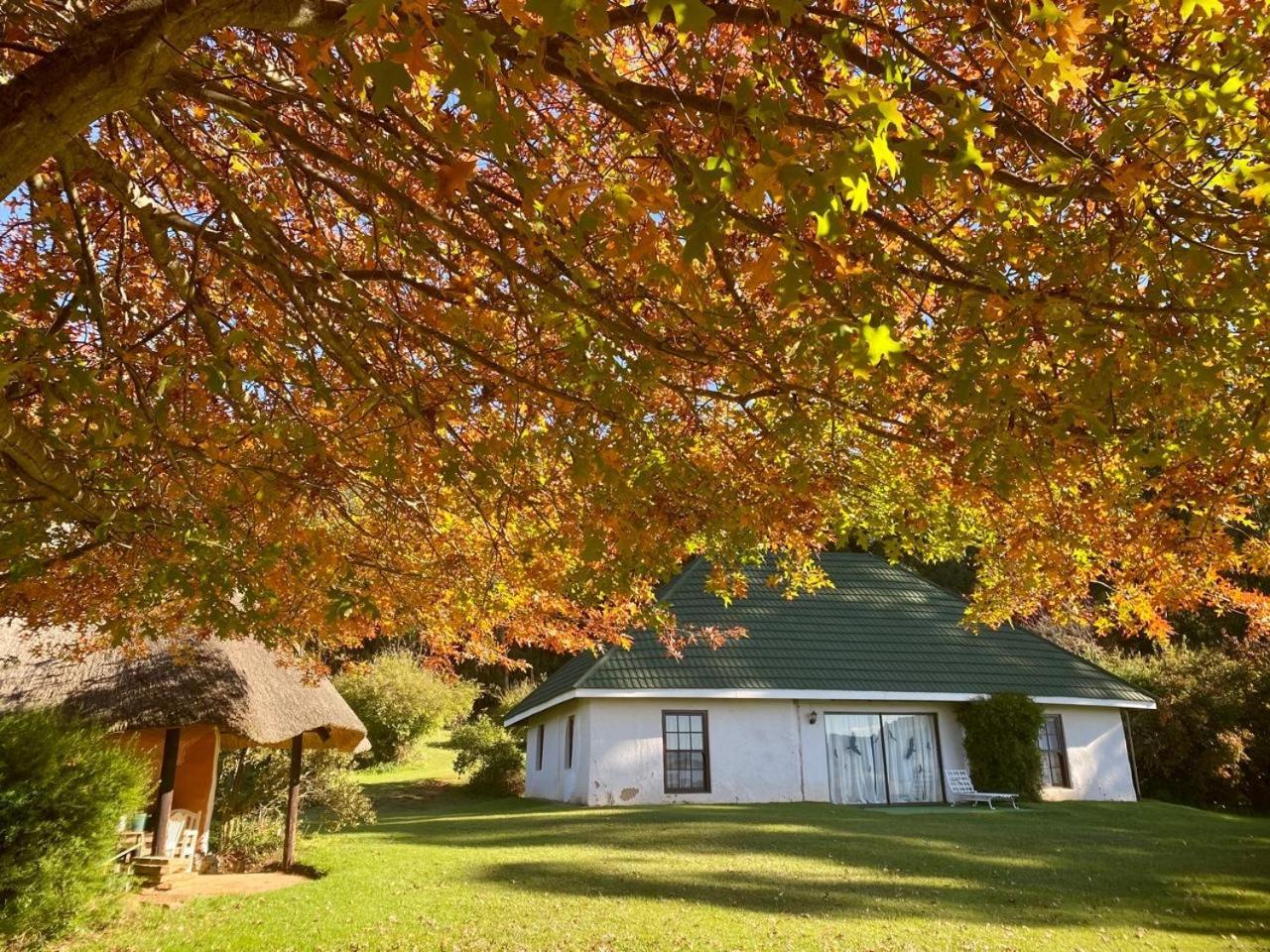 Pear Tree Cottage-アンダーバーグ エクステリア 写真